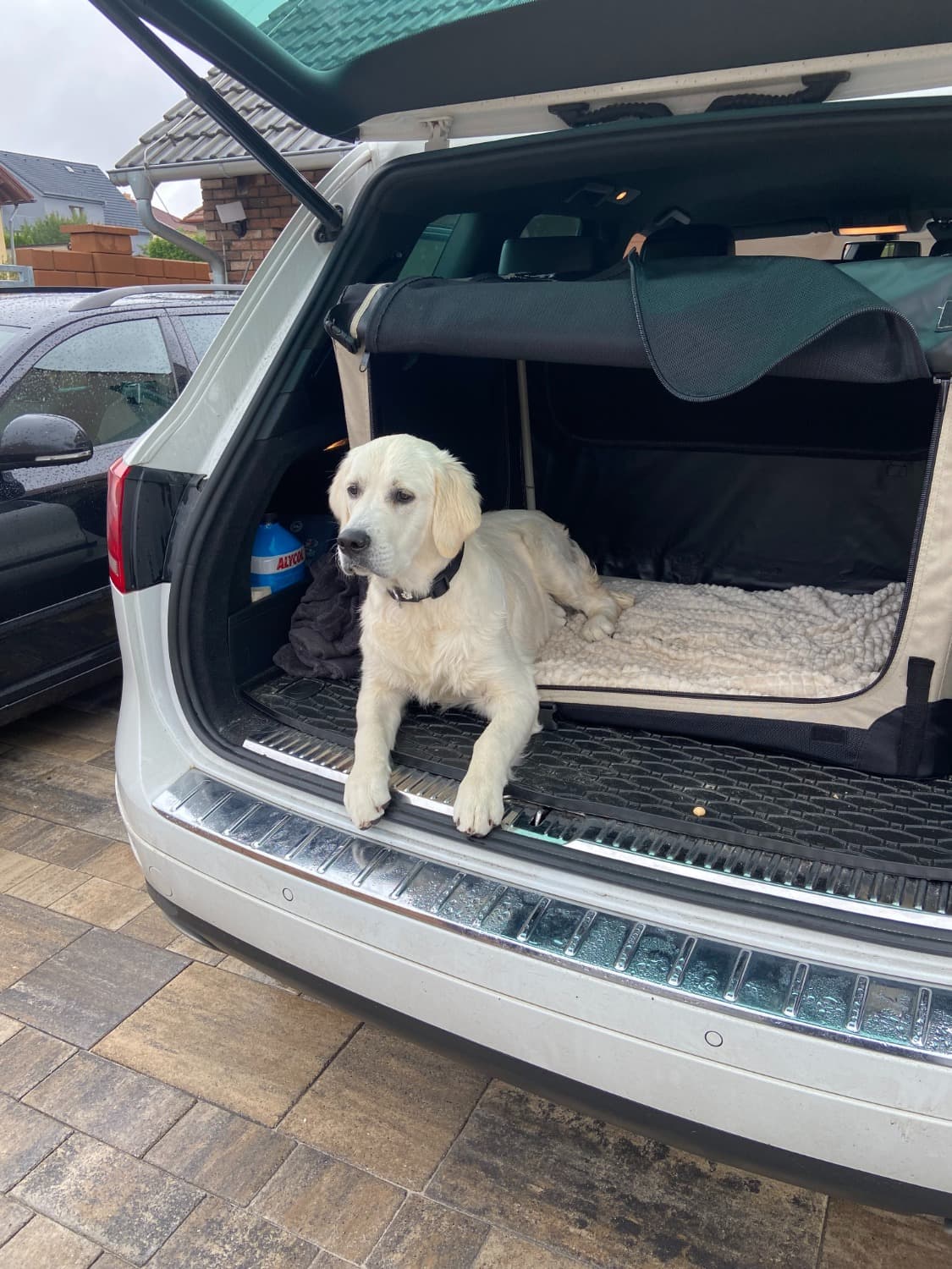 IMG_3677